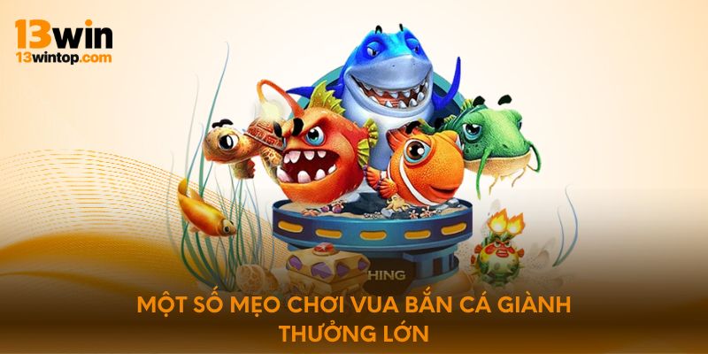 Một số mẹo chơi vua bắn cá giành thưởng lớn